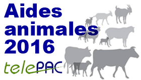 Campagne PAC 2016 : la télédéclaration pour les demandes d’aides animales est ouverte 