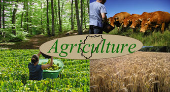 Agriculture, forêt et développement rural  
