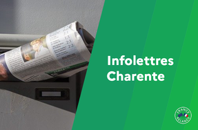 Infolettres France Relance Charente